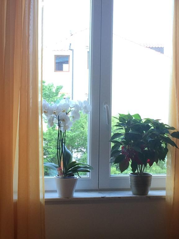 Apartman Snjezana مالينسكا المظهر الخارجي الصورة